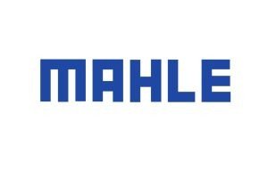 WhatsApp Image 2024-01-23 at 1.35.58 PM