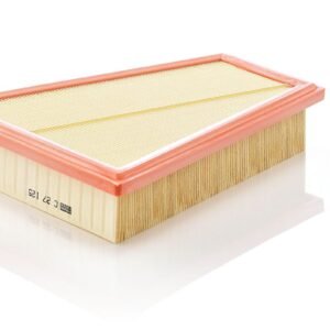 520i Air Filter F10 ( Mann )